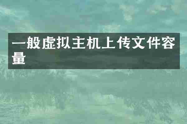 一般虚拟主机上传文件容量