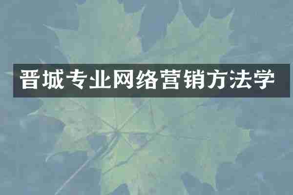 晋城专业网络营销方法学