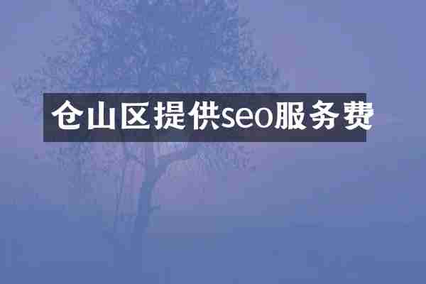 仓山区提供seo服务费