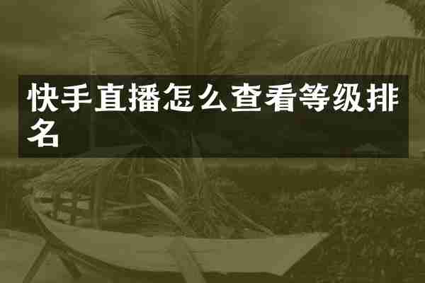 快手直播怎么查看等级排名