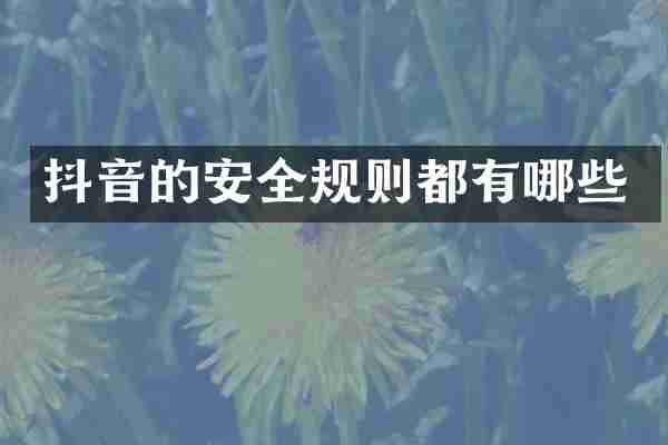 抖音的安全规则都有哪些