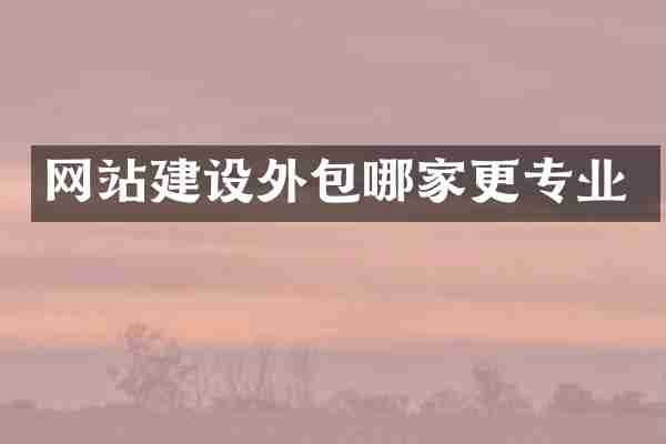 网站建设外包哪家更专业