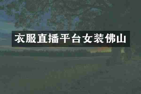 衣服直播平台女装佛山