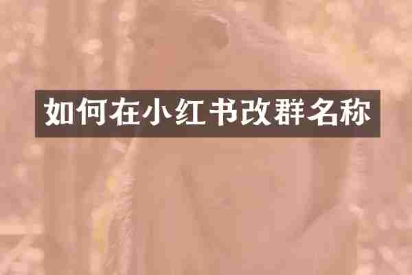 如何在小红书改群名称