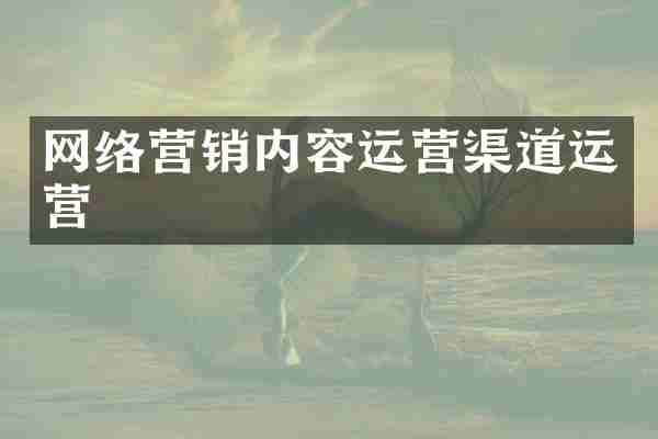 网络营销内容运营渠道运营