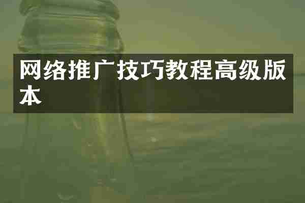 网络推广技巧教程高级版本
