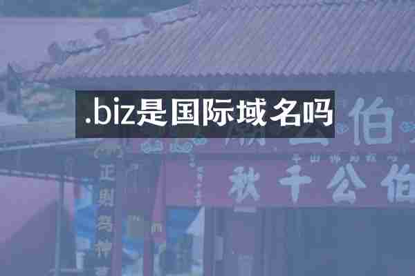 .biz是国际域名吗