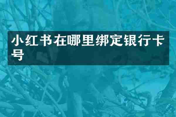 小红书在哪里绑定银行卡号