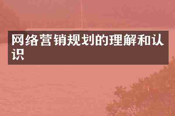 网络营销规划的理解和认识