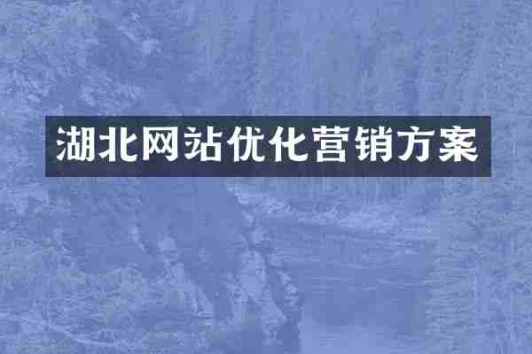 湖北网站优化营销方案