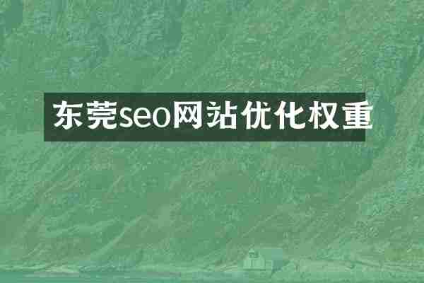 东莞seo网站优化权重
