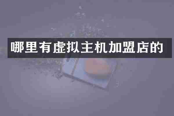 哪里有虚拟主机加盟店的