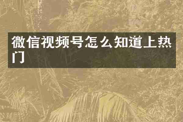 微信视频号怎么知道上热门