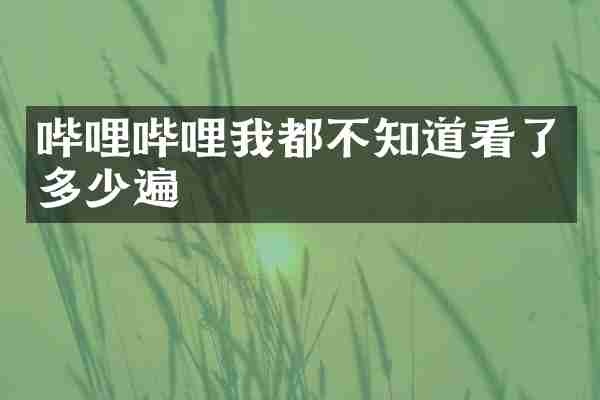 哔哩哔哩我都不知道看了多少遍