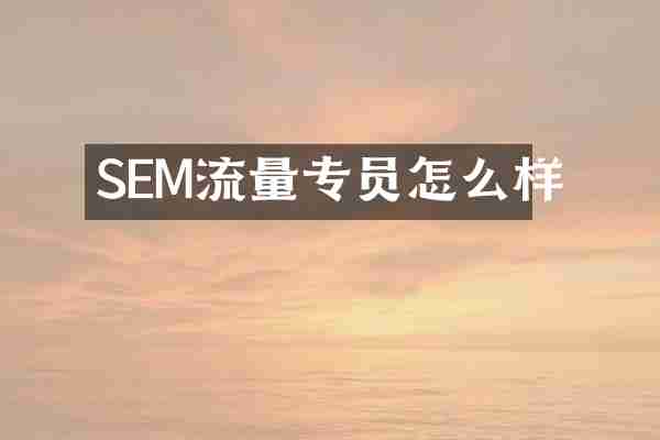 SEM流量专员怎么样