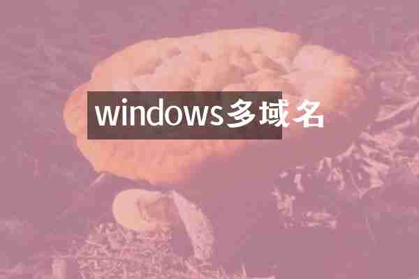 windows多域名