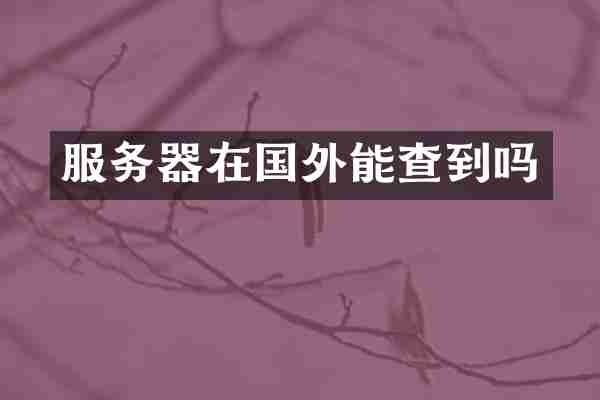 服务器在国外能查到吗