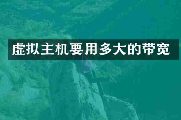 虚拟主机要用多大的带宽