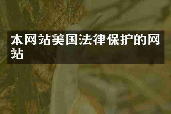 本网站美国法律保护的网站