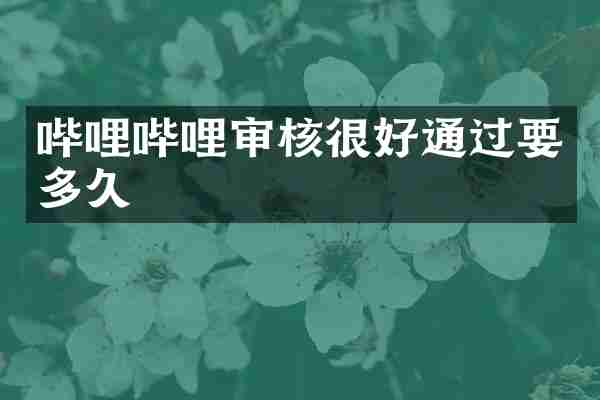 哔哩哔哩审核很好通过要多久