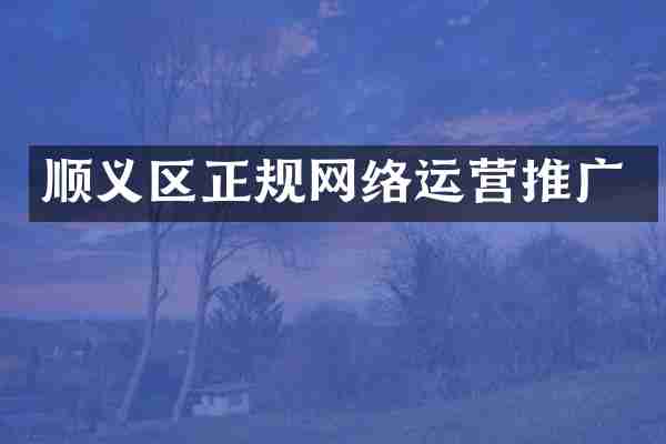 顺义区正规网络运营推广