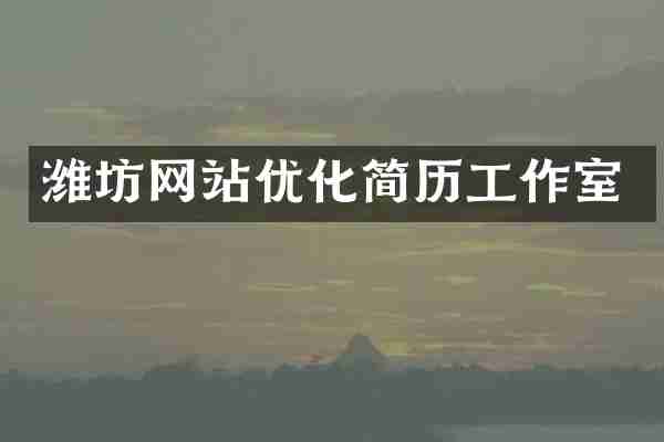 潍坊网站优化简历工作室