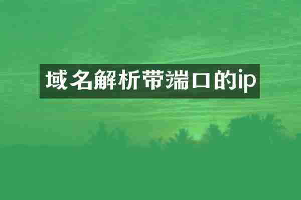域名解析带端口的ip
