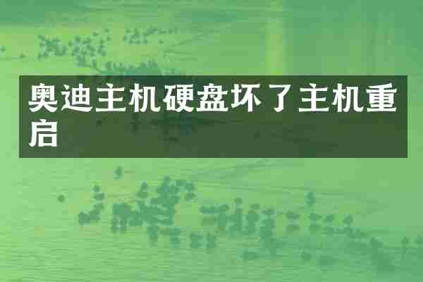 奥迪主机硬盘坏了主机重启