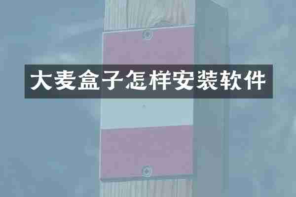 大麦盒子怎样安装软件