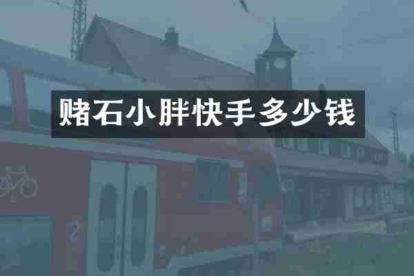 赌石小胖快手多少钱