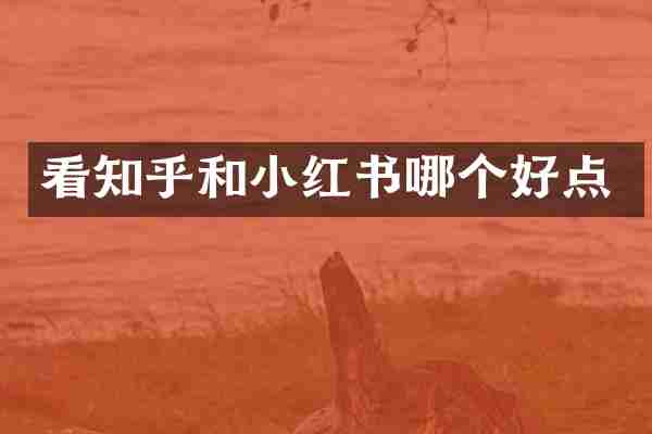 看知乎和小红书哪个好点