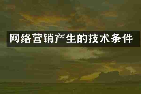 网络营销产生的技术条件