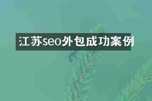 江苏seo外包成功案例