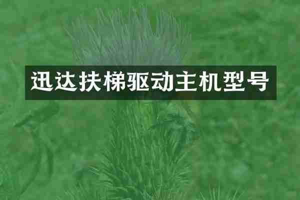 迅达扶梯驱动主机型号