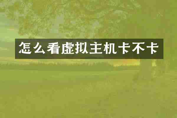 怎么看虚拟主机卡不卡