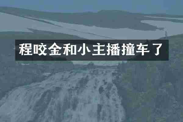 程咬金和小主播撞车了