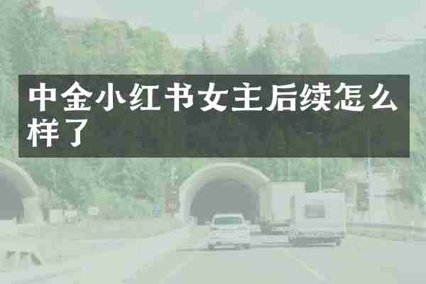 中金小红书女主后续怎么样了