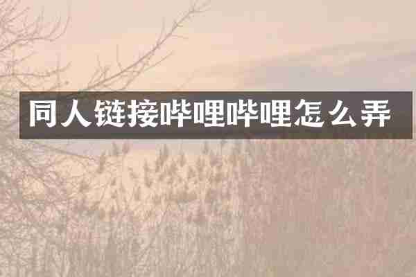 同人链接哔哩哔哩怎么弄
