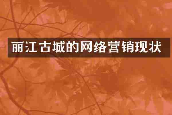 丽江古城的网络营销现状