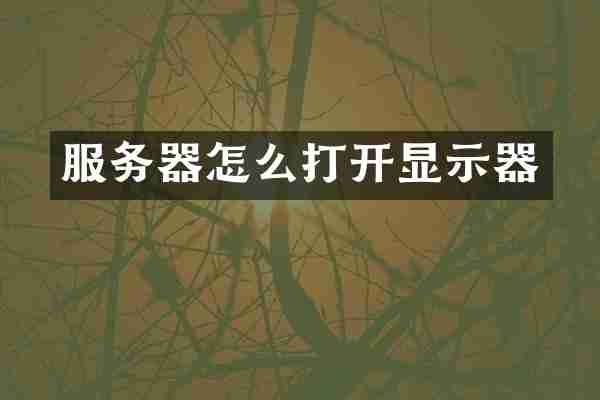 服务器怎么打开显示器