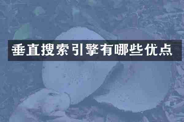 垂直搜索引擎有哪些优点