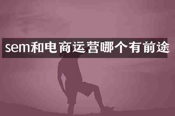sem和电商运营哪个有前途
