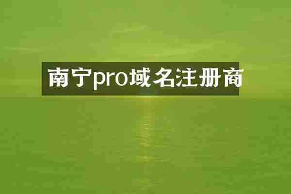 南宁pro域名注册商