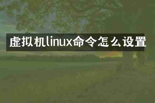 虚拟机linux命令怎么设置