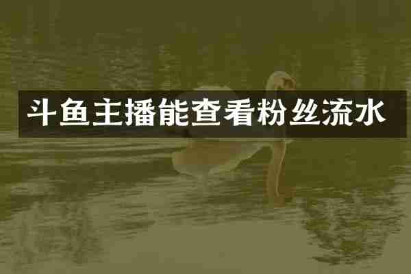 斗鱼主播能查看粉丝流水