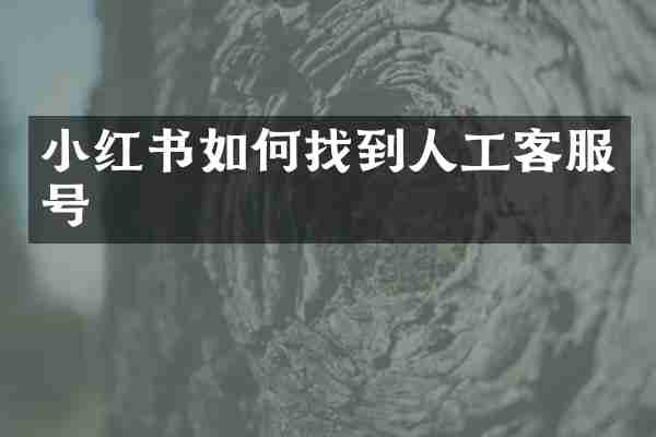 小红书如何找到人工客服号