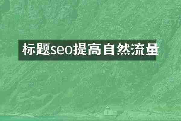 标题seo提高自然流量