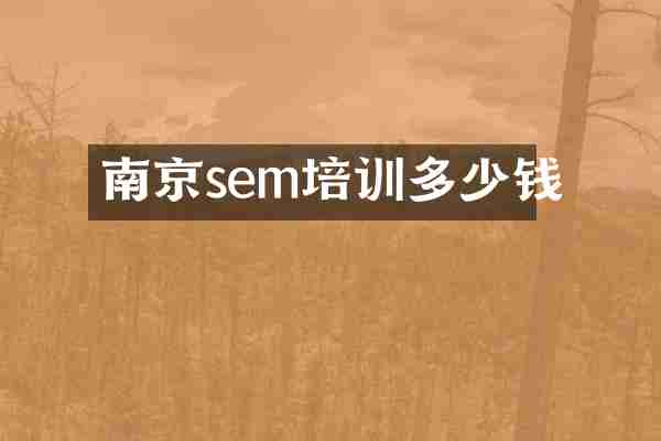 南京sem培训多少钱
