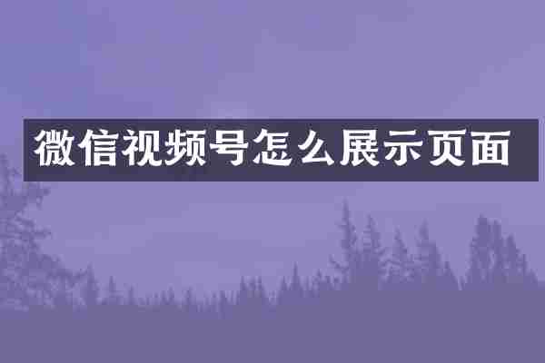 微信视频号怎么展示页面