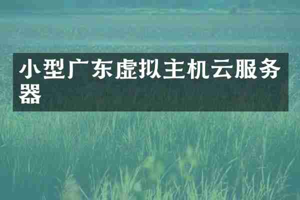 小型广东虚拟主机云服务器